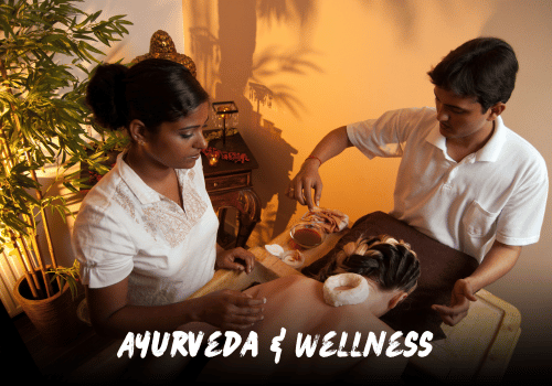 Ayurveda & Wellness