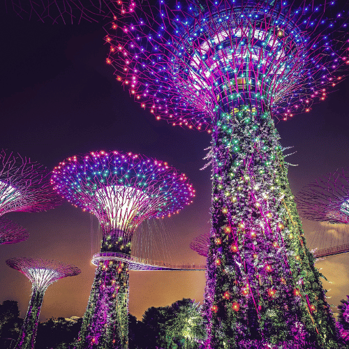 Gardens by the Bay