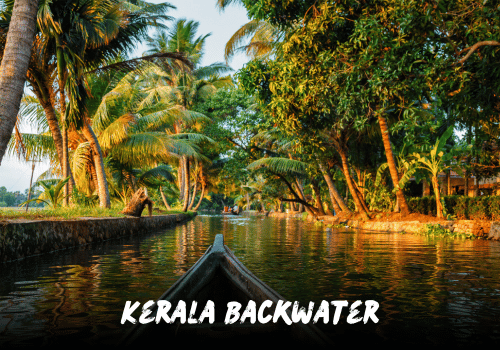 Kerala Backwater