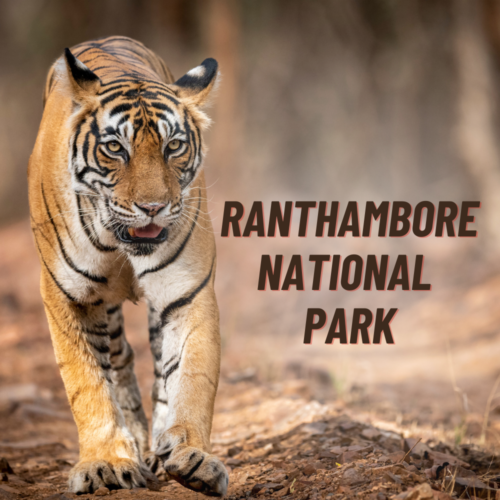 Ranthambore National Park