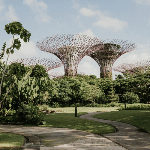 Singapore Botanic Gardens