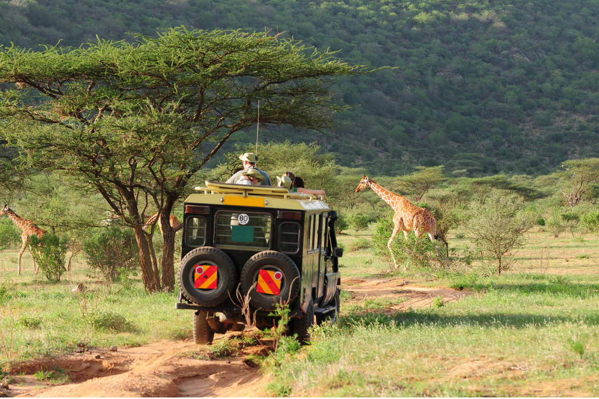 Wildlife Tour Packages